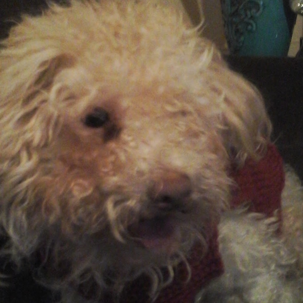 Meet your Posher, Beauty